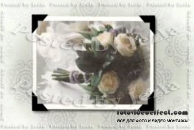 After Effects Project - RevoStock: Wedding Album Slide Show - 53406