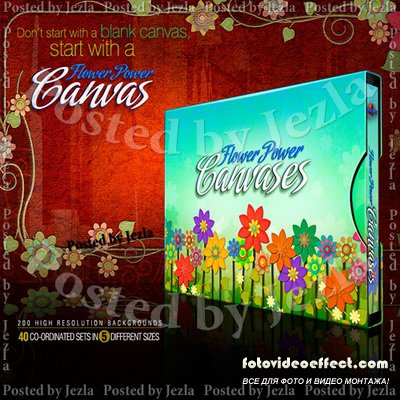   - Flower Power Canvases
