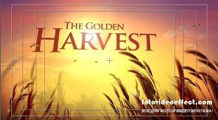 Harvest Sunday (Prodject AE DJ)