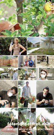 Stock Photos - Garden and Home