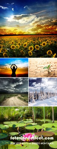 Shutterstock Mega Collection vol.6 - Nature