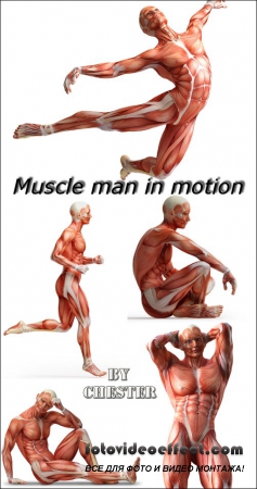 Muscle man in motion