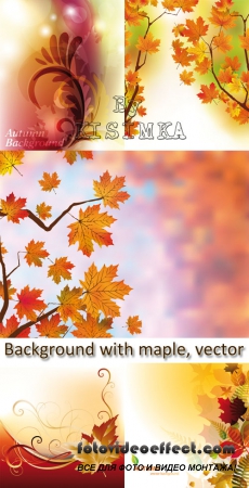 Stock: Autumn background with maple, vector