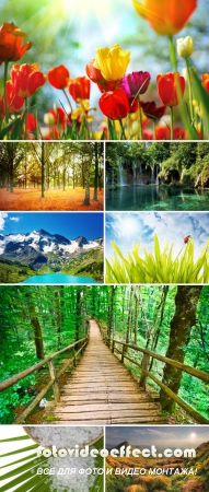 Shutterstock Mega Collection vol.3 - Nature