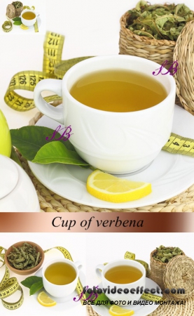 Stock Photo: Cup of verbena tea