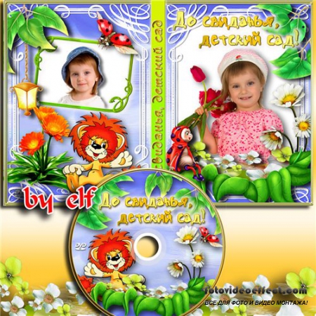 DVD    -  ,  