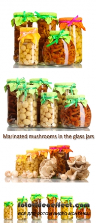Stock Photo: Marinated mushrooms in the glass jars