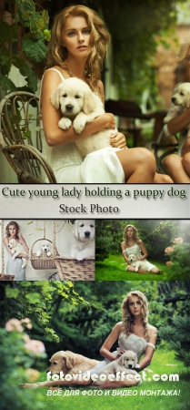 Stock Photo: Cute young lady holding a puppy dog