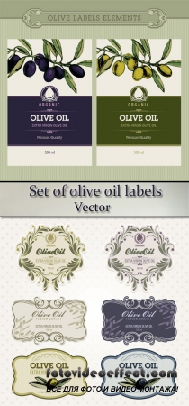  Stock: Set of olive oil labels