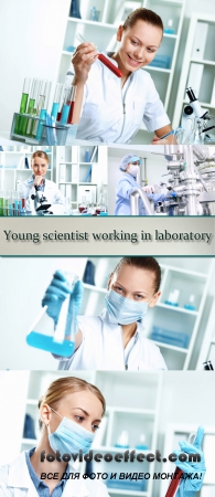 Stock Photo: Young scientist working in laboratory