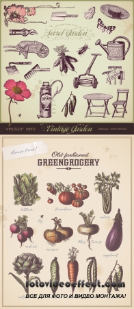 Stock: Vintage garden design elements