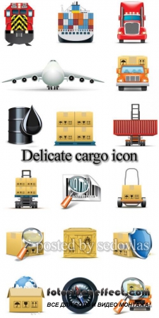 Delicate cargo icon - Vector