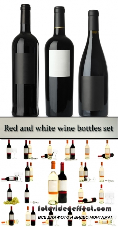 Stock Photo: Red and white wine bottles set