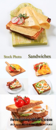 Stock Photo: Sandwiches 4