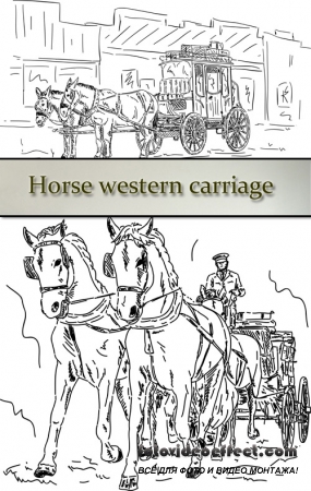 Stock: Horse western carriage