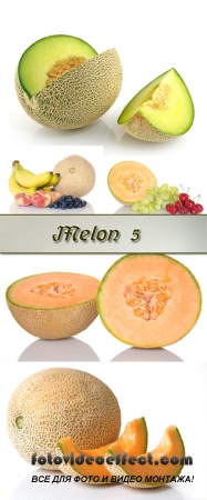 Stock Photo: Melon 5