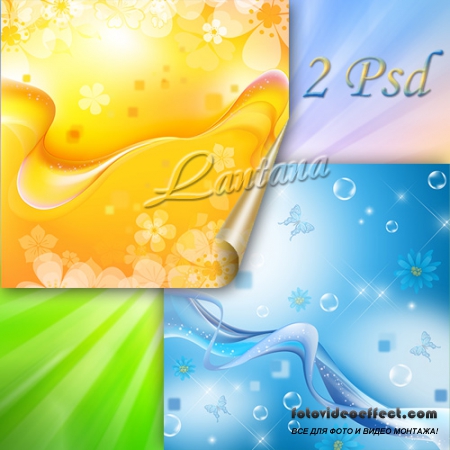 PSD  -   ,   , 