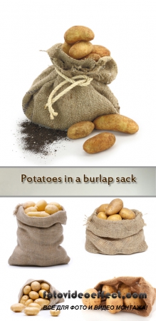 Stock Photo: Potatoes in a burlap sack