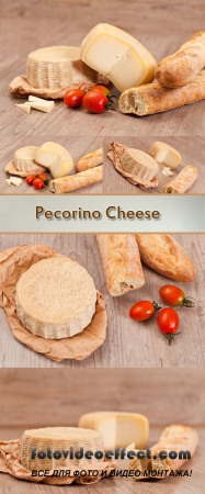 Stock Photo: Pecorino Cheese