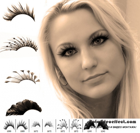 Fancy eyelashes brush set For Photoshop