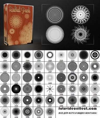 Radial Pack 50 Elements Brushes For Photoshop