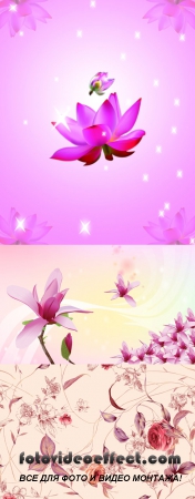 Sources For Photoshop - Pink spring flowers