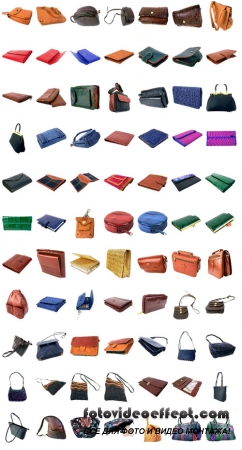 The collection of handbags and purses For Photoshop