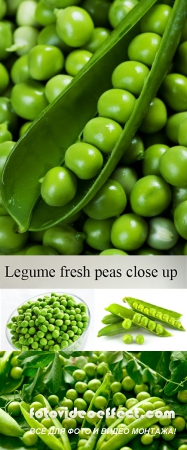 Stock Photo: Legume fresh peas close up