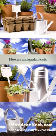 Stock Photo: Flowers and garden tools on sky background