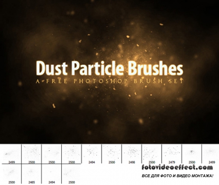 Dust Particle Brushes set