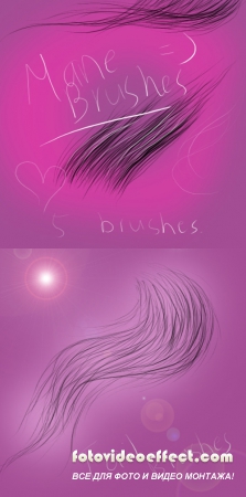 Tail and Mane Brushes Set