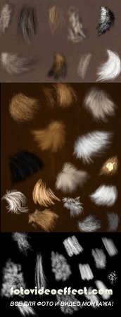 Fur Brushes Set