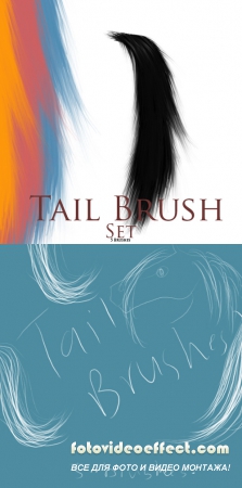    - Tail Brushes Set