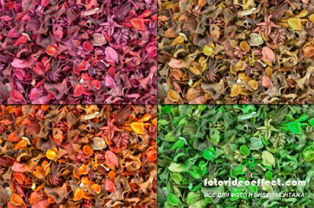    - Potpourri Textures Set