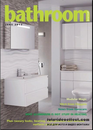 Bathroom Journal 6 (June 2012)