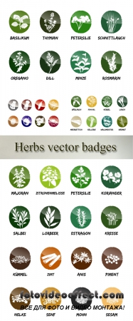 Stock: Herbs vector badges