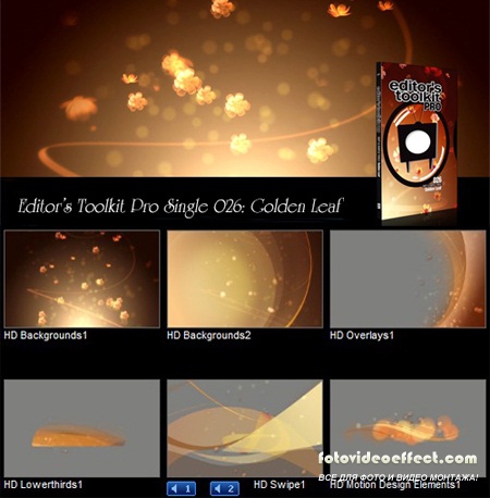 Editor's Toolkit Pro Single 026: Golden Leaf