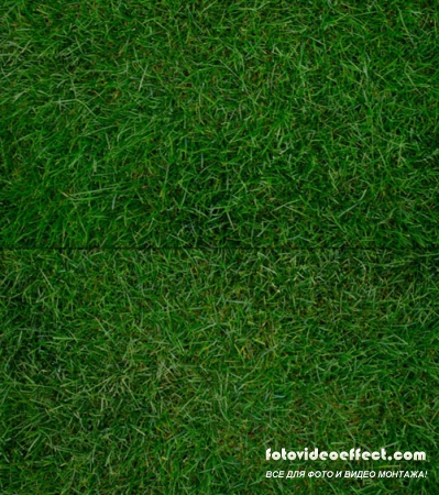    - Grass Textures Set