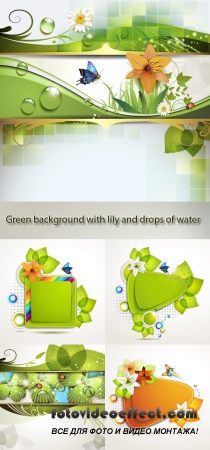 Stock: Green background with lily and drops of water