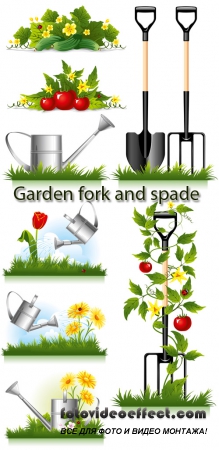 Stock: Watering can, shovel and pitchfork for work in a garden