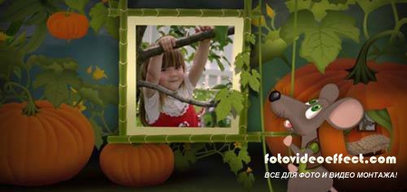 Little Mouse World - Projects for After Effects (VideoHive)