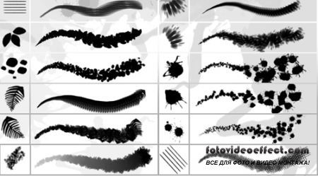 Photoshop Brushes Set #3