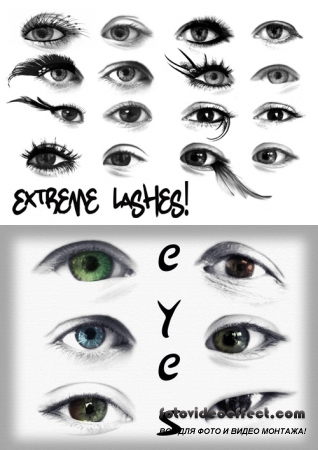    - Extreme Lashes Brushes