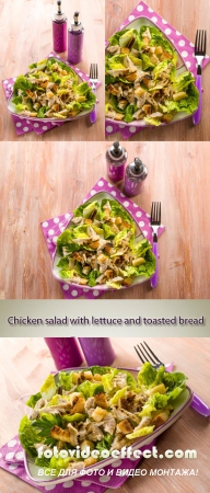 Stock Photo: Chicken salad with lettuce and toasted bread