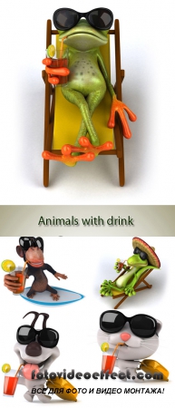Stock Photo: Animals with drink