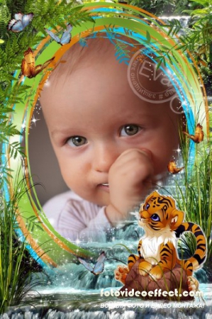     photoshop - 