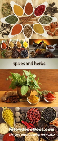 Stock Photo: Spices and herbs