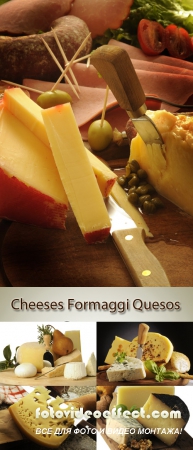 Stock Photo: Various mature cheese