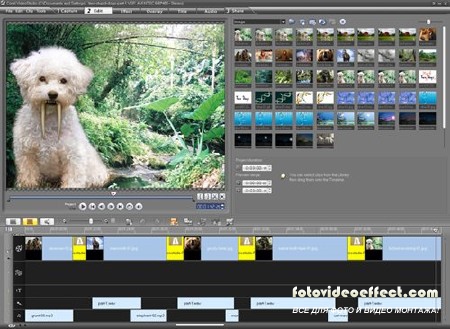 Corel VideoStudio Pro X4 14.2.0.23 Portable (2011/Multi/Rus)