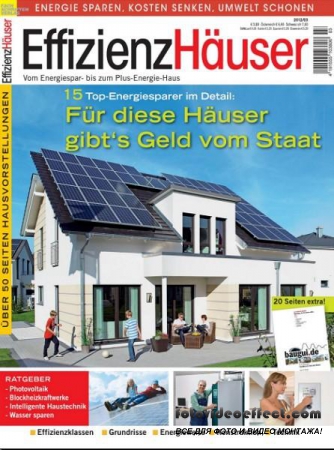 Effizienz Hauser 3 2012